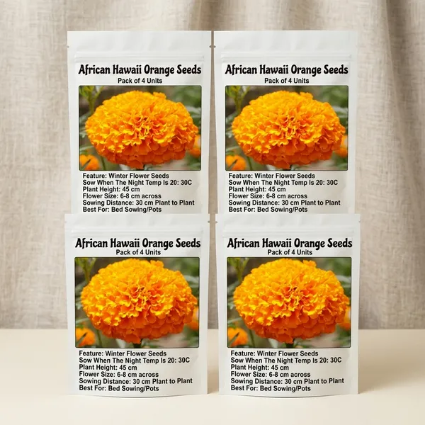 African_Hawaii_Orange_Seeds_-_Pack_Of_4