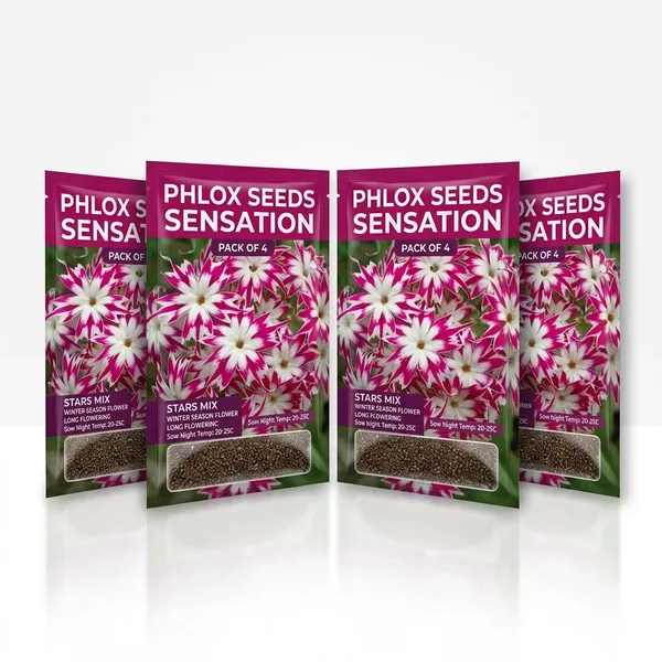 Phlox_Twinkle_Dwarf_Mix_Flower_Seeds_-_Pack_Of_4