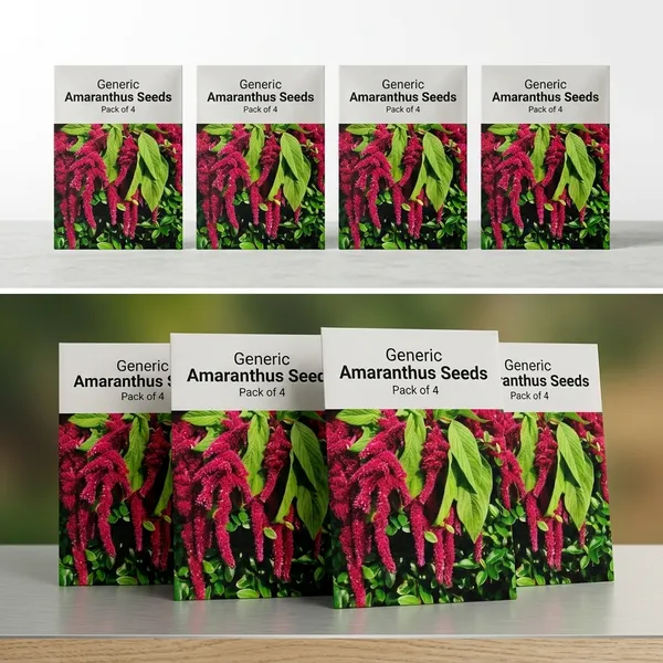 Amaranthus_Caudatus_Love_Lies_Bleeding_Flower_Seeds__Pack_Of_4