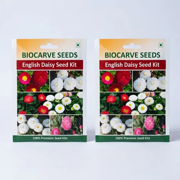 Daisy_Flower_Seed_Kit___1__Pack_Of_3_packets_