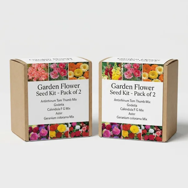 Garden_Flower_Seed_Kit_-_Pack_Of_2