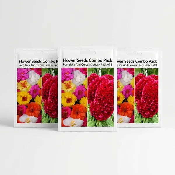 Pack_Of_3_Flower_Seeds_Portulaca_And_Celosia_Seeds