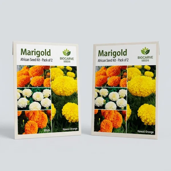 Marigold_African_Seed_Kit_-_Pack_Of_2