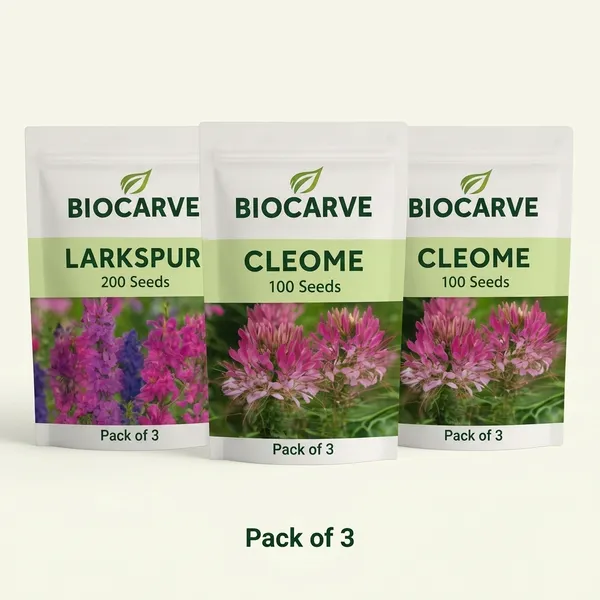 Larkspur_And_Cleome_Flower_Seeds_-_Pack_Of_3