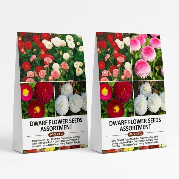 Dwarf_Flower_Seeds_Assortment_-_Pack_Of_2