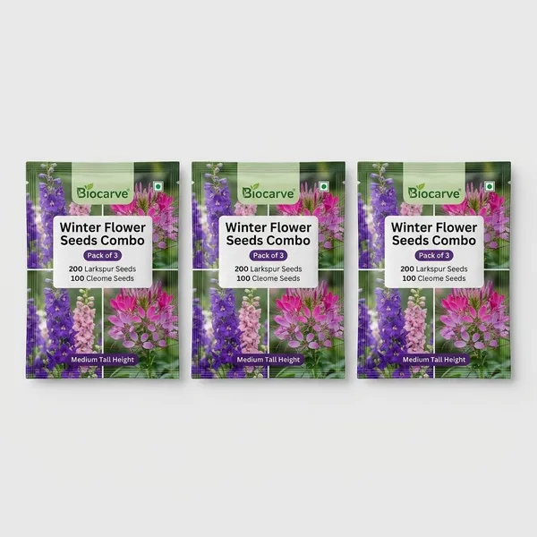 Winter_Flower_Seeds_Combo_-_Pack_Of_3