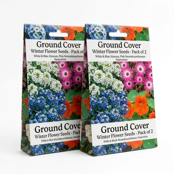 Pack_Of_2_Biocarve_Ground_Cover_Winter_Flowers_Kit