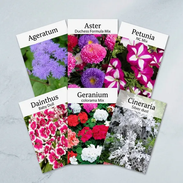 Pack_Of_6_Flower_Seeds_Assortment