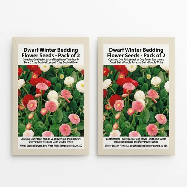 Designer_Dwarf__Winter_Bedding_Flowers-3_Packets_(AntirrihinumTom_thumb_Dwarf,_Daisy_Double_Rose,_and_Daisy_Double_White_)