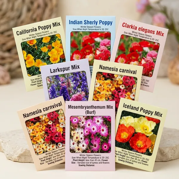 Flower_Seeds_Assorted_Variety_Pack_of_8