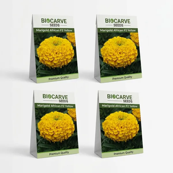 Marigold_African_Seeds_-_Pack_Of_4