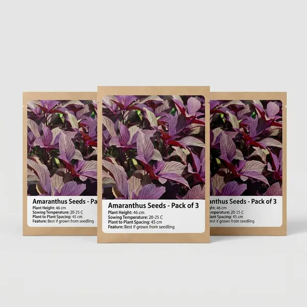 Amaranthus_Red_Herb_Seeds__Pack_Of_3