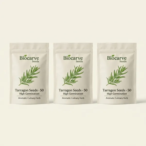 Tarragon_Seeds_-_Pack_Of_3