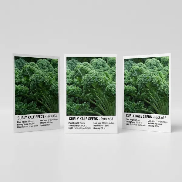 Curly_Kale_Seeds_-_Pack_Of_3