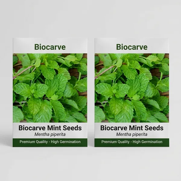 Mint_Seeds_-_Pack_Of_2
