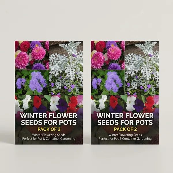 Winter_Flower_Seeds_For_Pots_-_Pack_Of_2