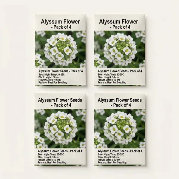 Alyssum_Benthami_White__Flower_Seeds_-_Pack_Of_4