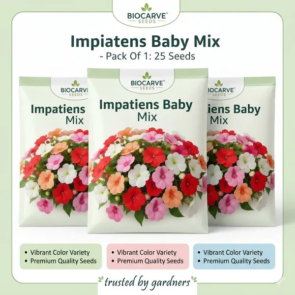 Pack_Of_3_Impatiens_Baby_Mix