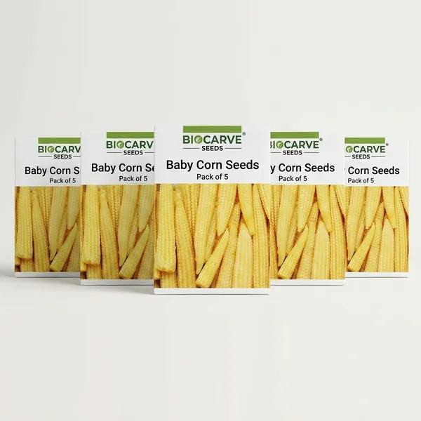 Baby_Corn_Seeds_-_Pack_Of_5