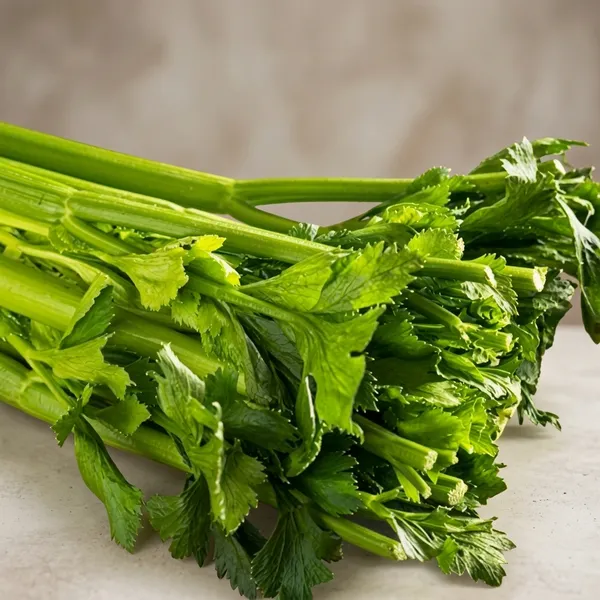 Celery_Seeds