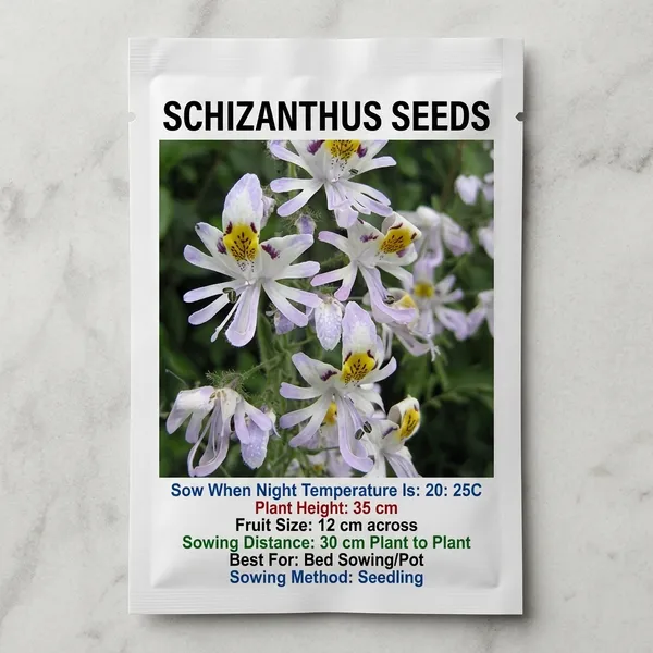 NM_-_Schizanthus_Angel_Wings_Mix_2000_Seeds
