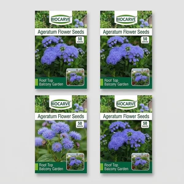 Ageratum_Ball_Mix__Flower_Seeds__Pack_Of_4
