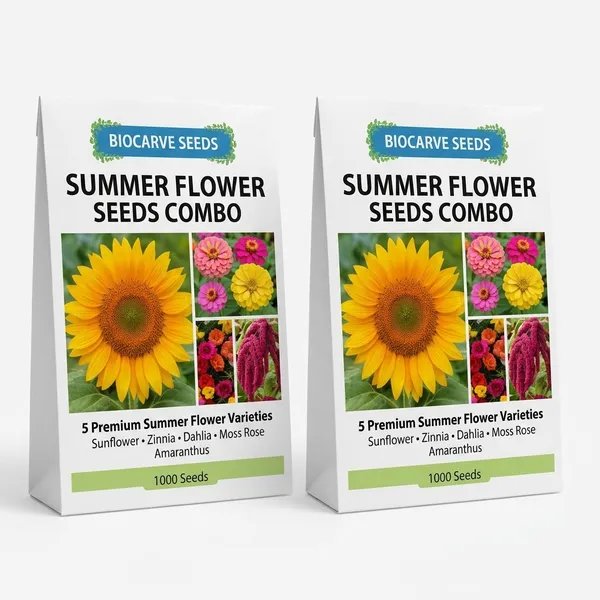 Summer_Flower_Kit_pack_of_5_packets_