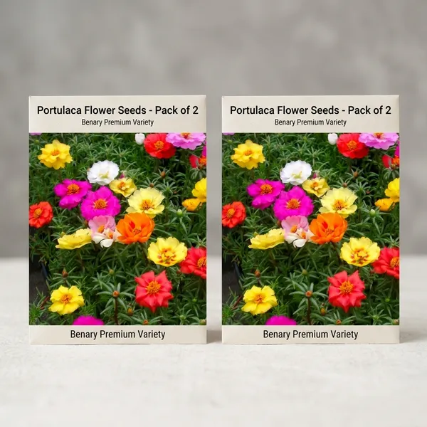 Pack_Of_2_Portulaca_Flower_Seeds