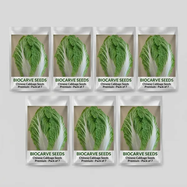 Chinese_Cabbage_Seeds_Premium_-_Pack_Of_7
