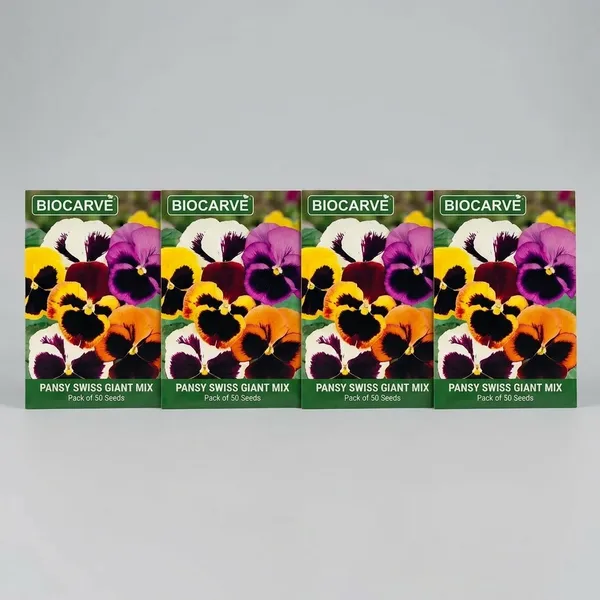 Pack_Of_4_Pansy_Swiss_Giants_Mix__Flower_Seeds