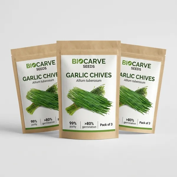 Garlic_Chives_Seeds_-_Pack_Of_3