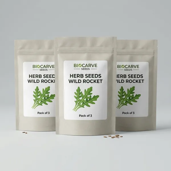Wild_Rocket_Herb_Seeds__Pack_Of_3