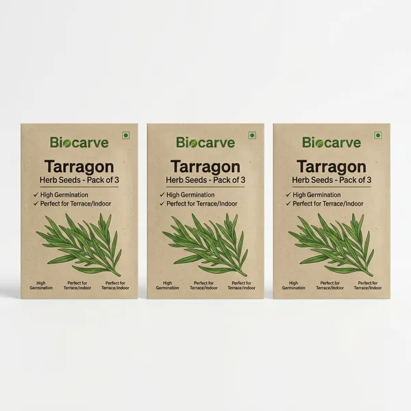 Tarragon_Herb_Seeds_-_Pack_Of_3