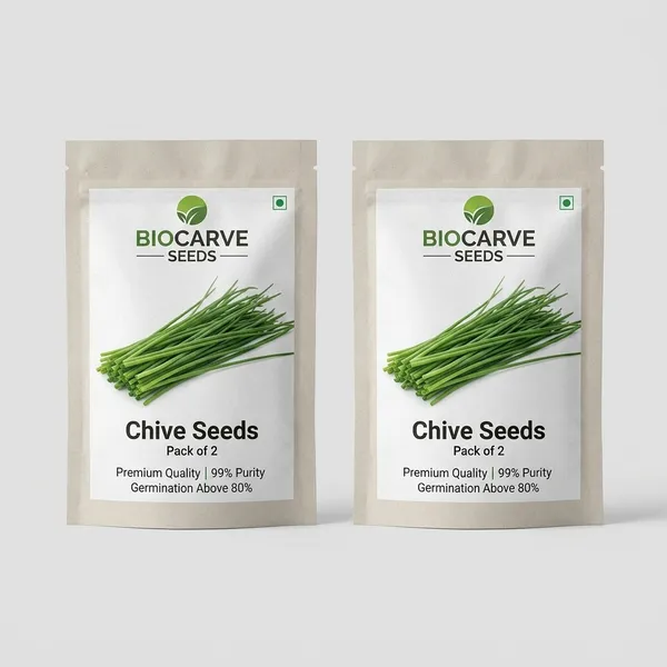 Chive_Seeds_-_Pack_Of_2