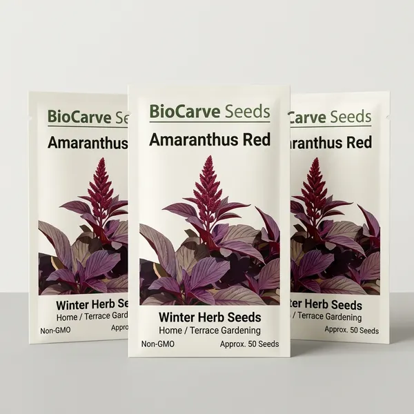 Amaranthus_Herb_Seeds_-_Pack_Of_3