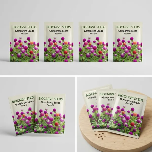 Gomphrena_Choice_Mix_Seeds__Pack_Of_4