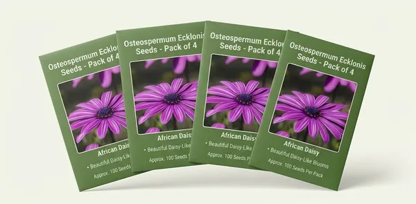 Osteospermum_Ecklonis_Seeds_-_Pack_Of_4