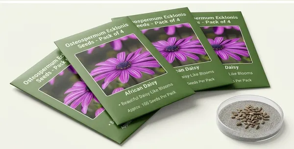 Osteospermum_Ecklonis_Seeds_-_Pack_Of_4