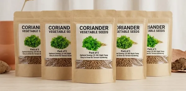 Coriander_Vegetable_Seeds_-_Pack_Of_5