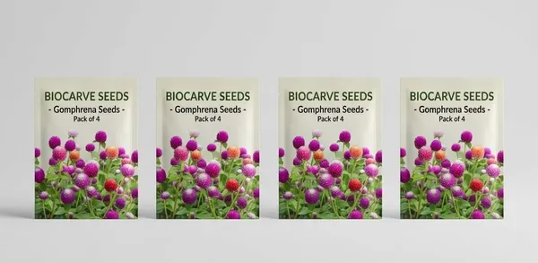 Gomphrena_Choice_Mix_Seeds__Pack_Of_4