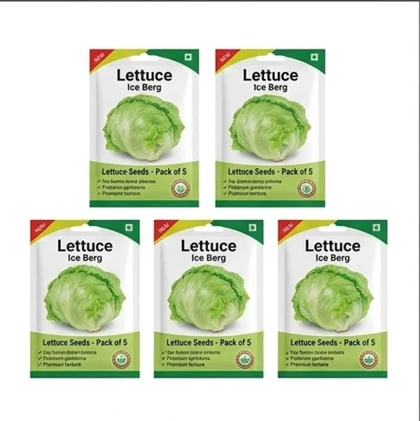 Lettuce_Ice_Berg_Seeds__Pack_Of_5