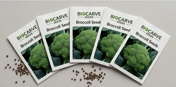 Broccoli_Seeds_-_Pack_Of_5