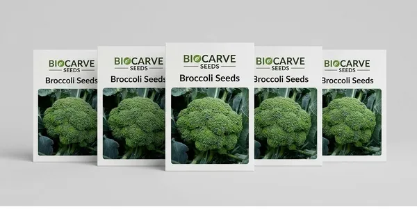 Broccoli_Seeds_-_Pack_Of_5