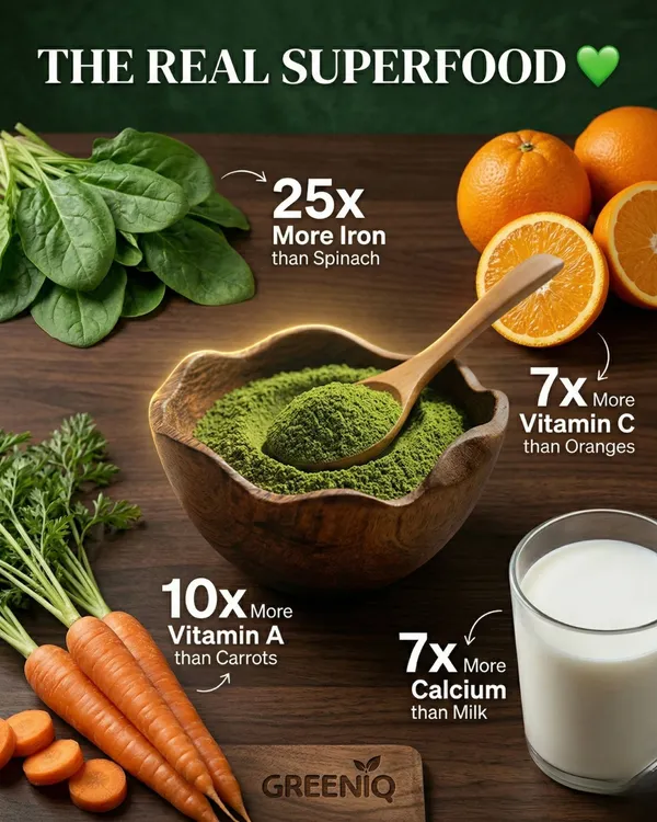 Pack_of_2_Moringa_Leaf_Powder_250Gm_(Nutrition_Rich_Dietary_Supplement)