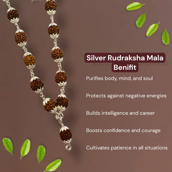 Silver_And_Brown_Rudraksha_Mala_54_Beads_8_Mm_Meditation_Jap_Mala