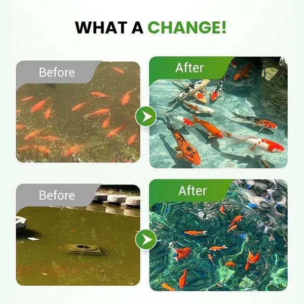 White_Water_Conditioning_Powder_For_Ponds