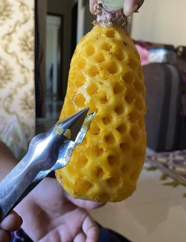 Silver_Stainless_Steel_Pineapple_Eye_Remover_Clip