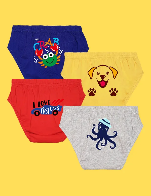Nusyl_Boys_Multicolor_Back_Printed_Briefs_Combo_Pack_Of_4