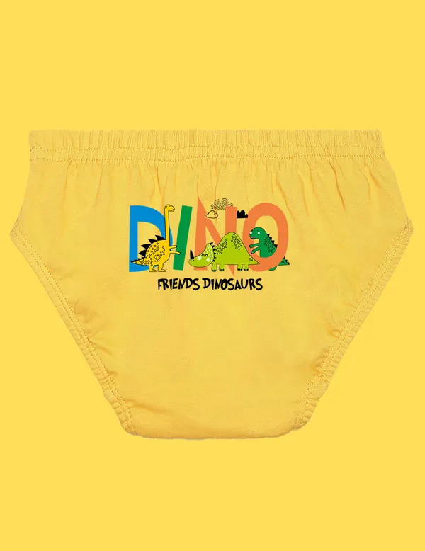 Nusyl_Boys_Multicolor_Back_Printed_Briefs_Combo_Pack_Of_5