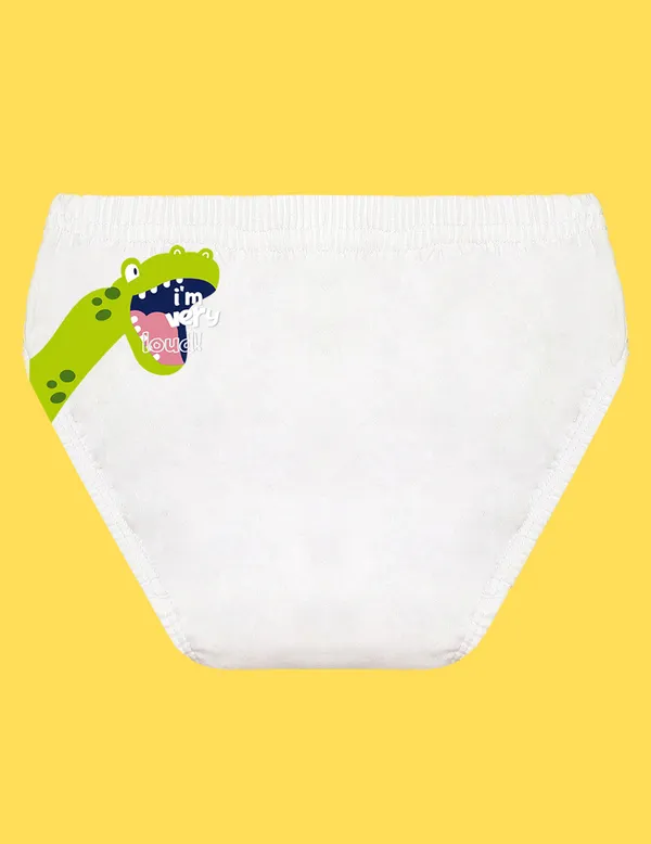 Nusyl_Boys_Multicolor_Back_Printed_Briefs_Combo_Pack_Of_5